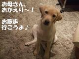 お散歩行こう!