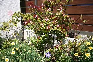 s-IMG_3834