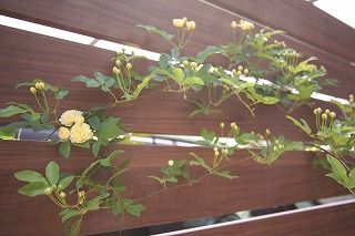 s-IMG_3833
