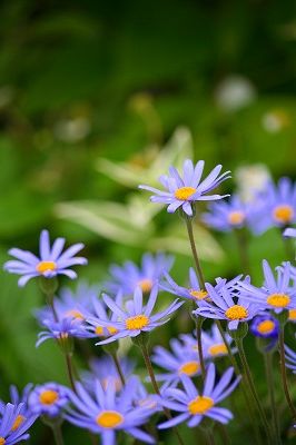 s-IMG_3939