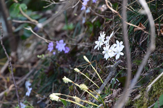 150328-113902-DSC_0158_R