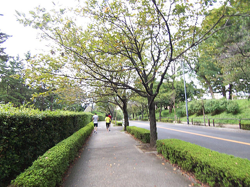 KODAK V570 DUAL LENS DIGITAL CAMERA_2010年10月07日 10時49分_102_3397_640x480