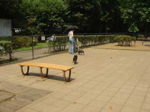 09295076.jpg