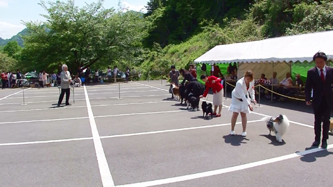 20100516125915(1)