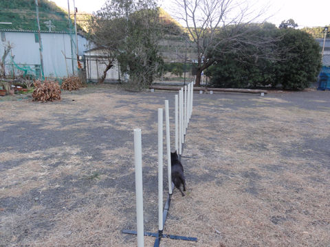 DSC02095