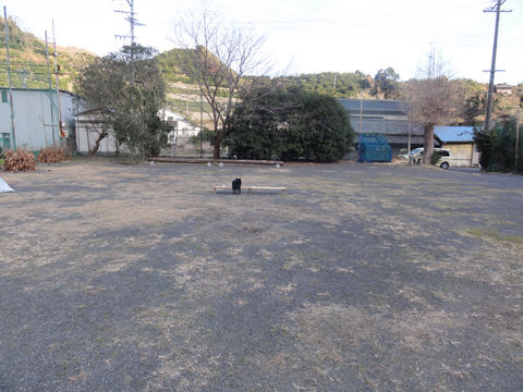 DSC02079