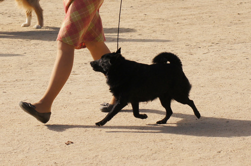 DSC06184