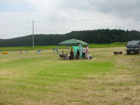 5a34867b.jpg