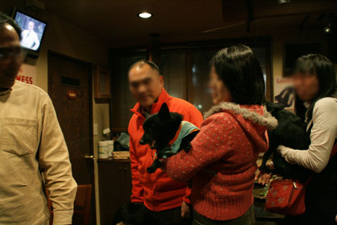 6356f019.jpg