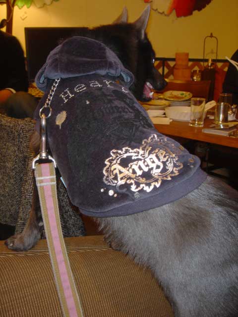 9f870ba7.jpg