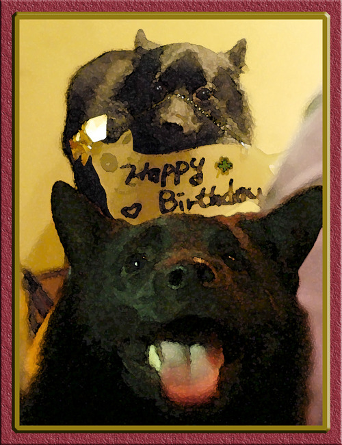 HappyBirthday