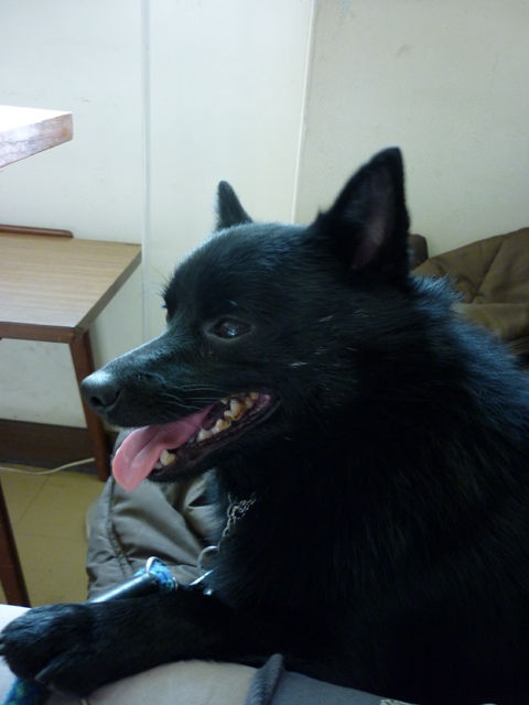 P1000168