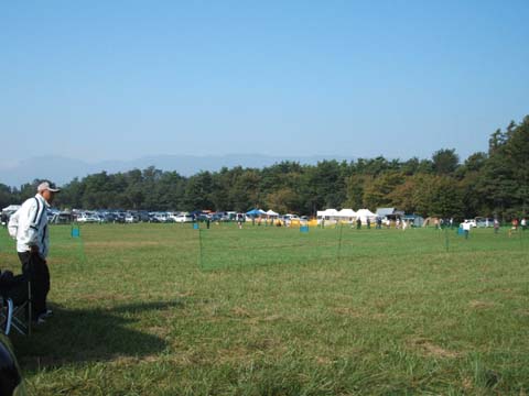 bd018526.jpg