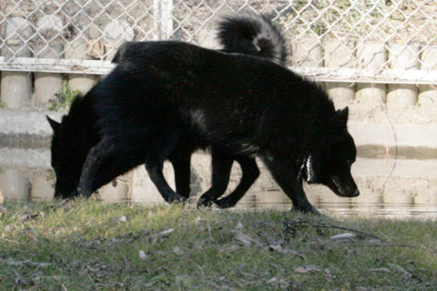 c40d77ba.jpg