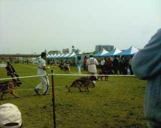 d3f1fd68.jpg