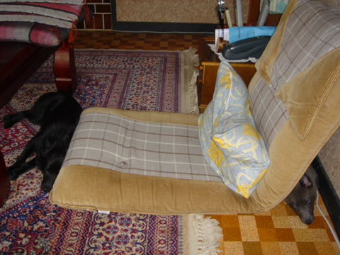 d5551462.jpg