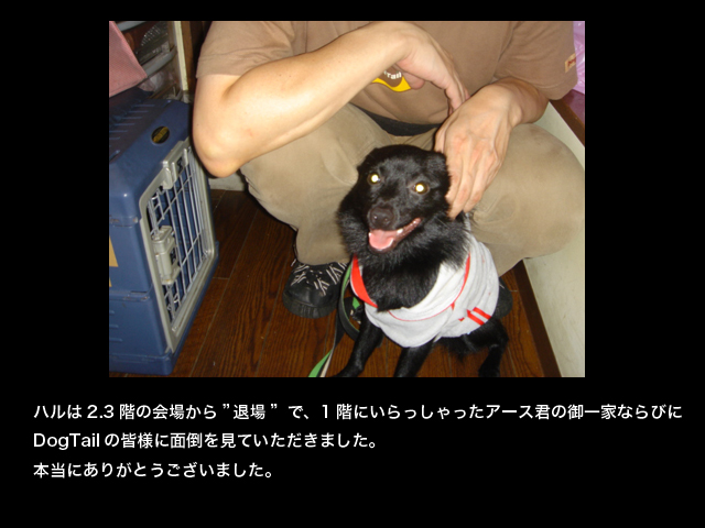 d72a9022.jpg