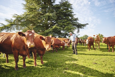 waitrose_13178751197278