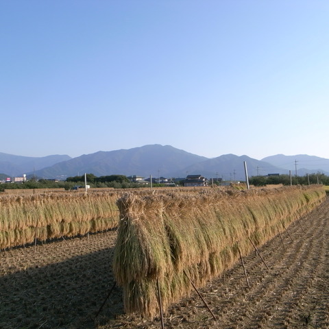 R0017189