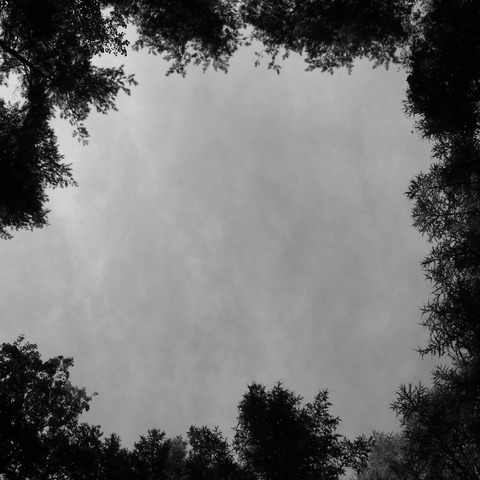 R0017327