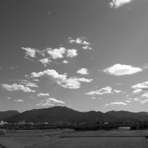 R0017164