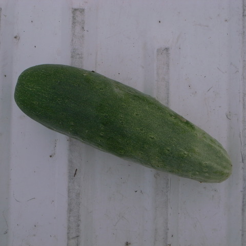 R0016853