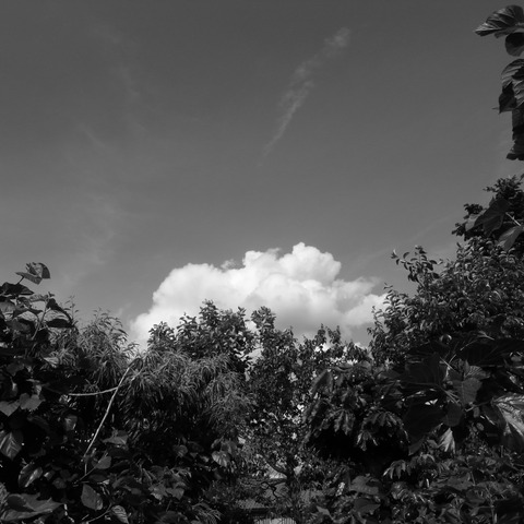 R0016581