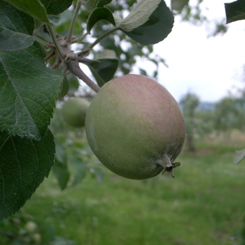 R0018791
