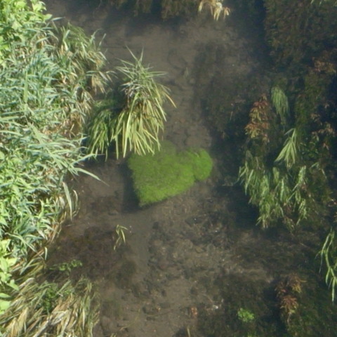 R0017169