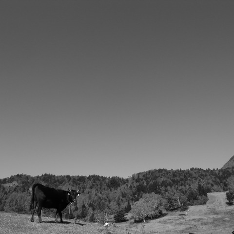 R0019488