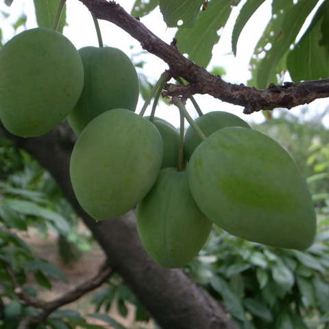 R0018760