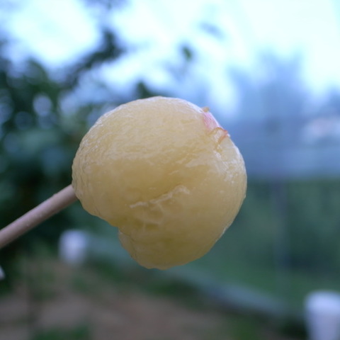 R0016672