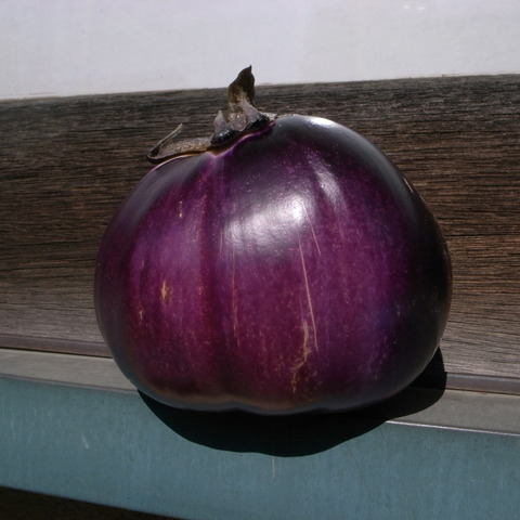 R0019514