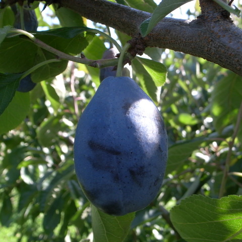 R0019505