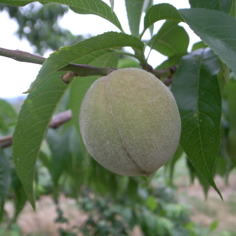 R0018765