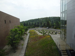 アミノアップ化学 薬草園