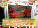 am05.jpg