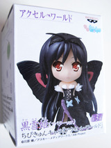 DSCN1334