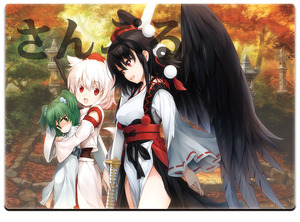 ダブルフォーカスV ゲーマーズ特典