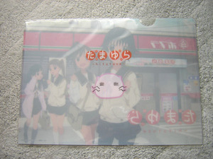たまゆらクリアファイル2