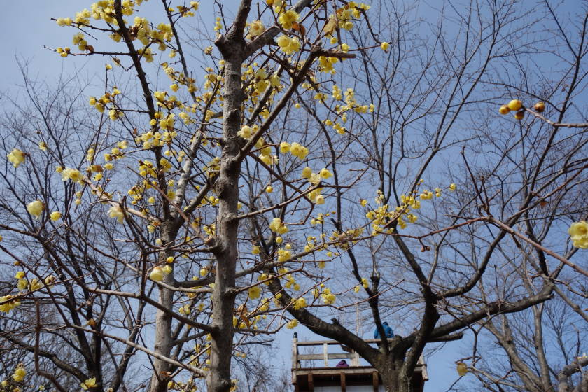 DSC04624