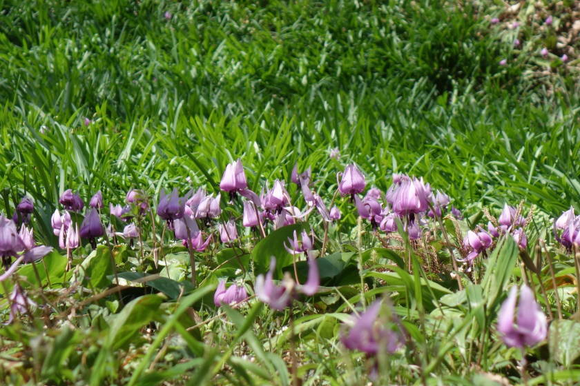 DSC04670
