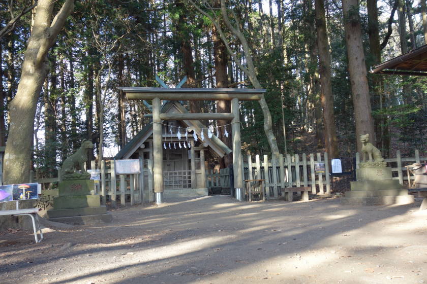 DSC04609