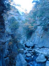 DSC00383