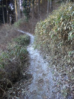 3)登山道の雪