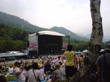 11)Green Stage