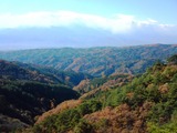 DSC00375