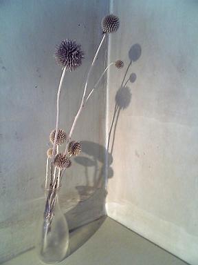 08d4951c.jpg