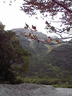 0a8f3363.jpg