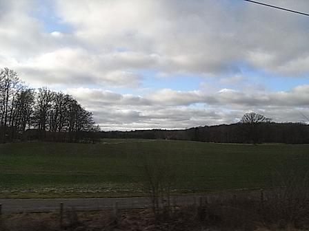 95241f68.jpg